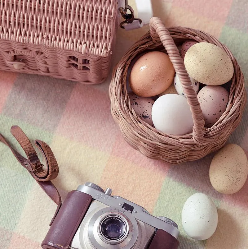 Berry Basket
