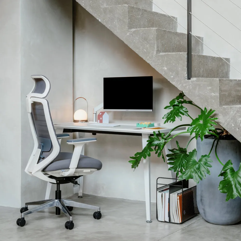 Monitor Arm