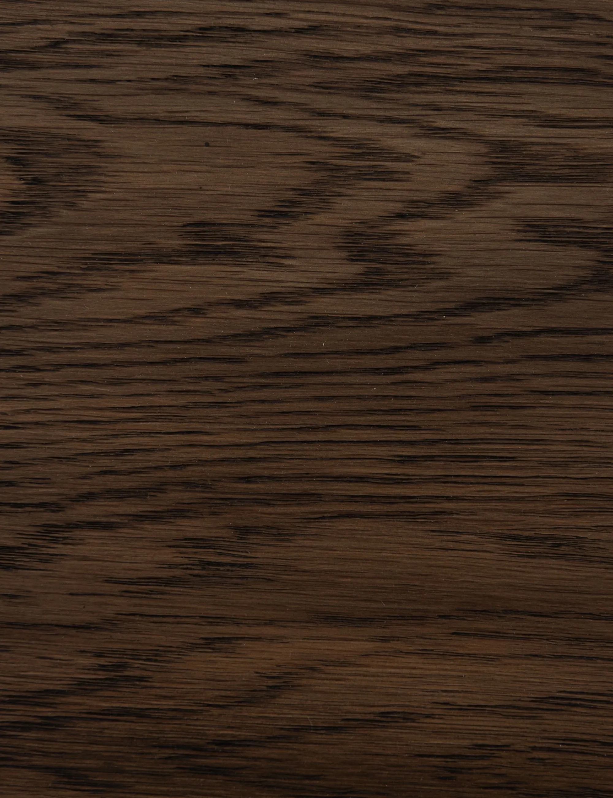 Rian Dining Chair